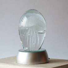 Load image into Gallery viewer, Jellyfish Colorful LED Night Light