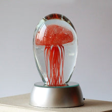 Load image into Gallery viewer, Jellyfish Colorful LED Night Light