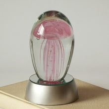 Load image into Gallery viewer, Jellyfish Colorful LED Night Light