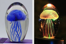 Load image into Gallery viewer, Jelly Fish Crystal Night Light