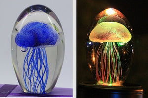 Jelly Fish Crystal Night Light