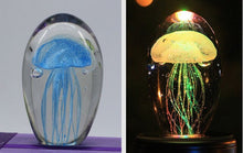 Load image into Gallery viewer, Jelly Fish Crystal Night Light