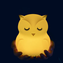 Load image into Gallery viewer, Owl Night Light