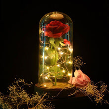 Load image into Gallery viewer, Little Prince Rose Night Light